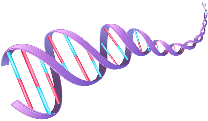 Genetics: Overview