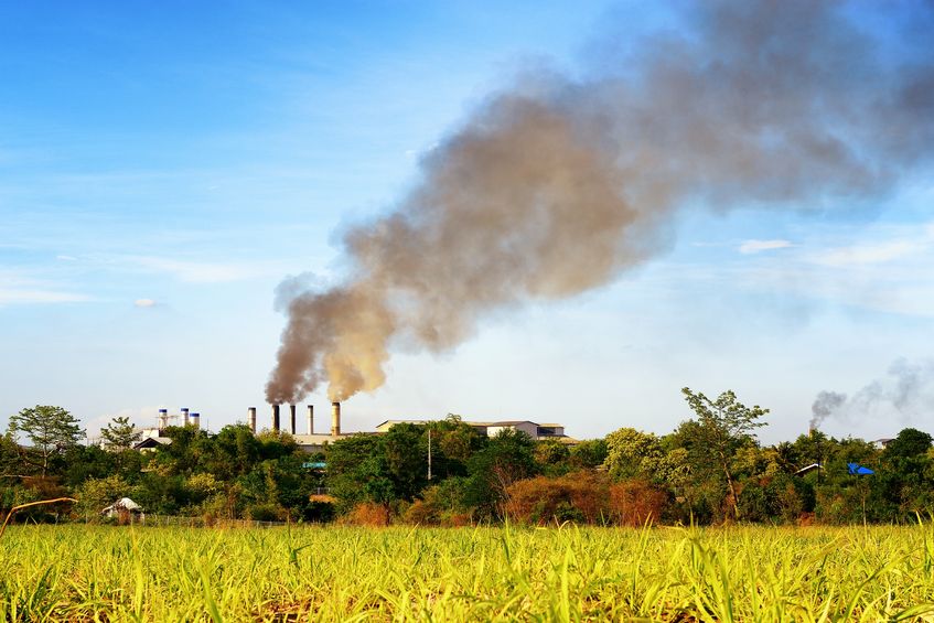 Environment and Breast Cancer
