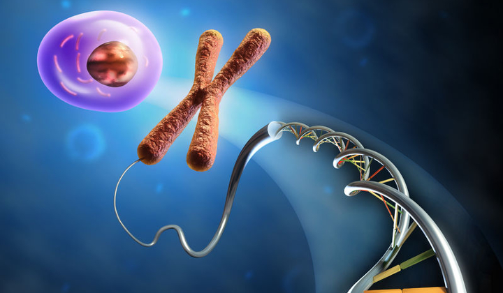 Genetics and Genomics: What is the Difference?