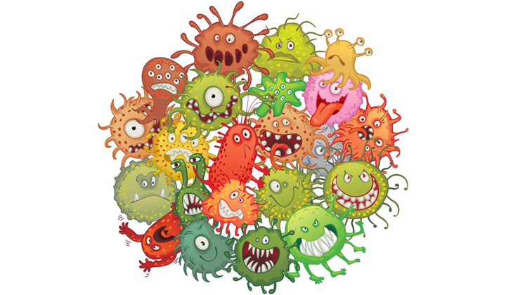 Microbiome: A Unique Bacterial Environment