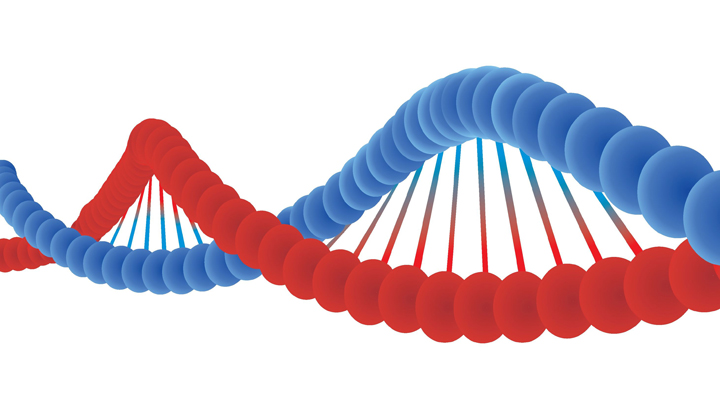 Gene Abnormality Table