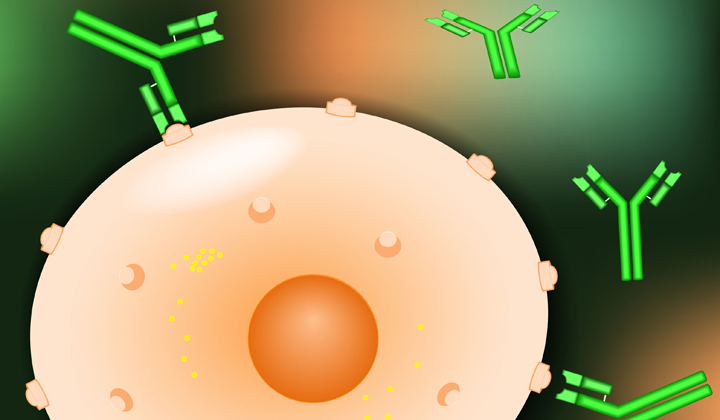 Neoadjuvant Hormone Blocking Therapy