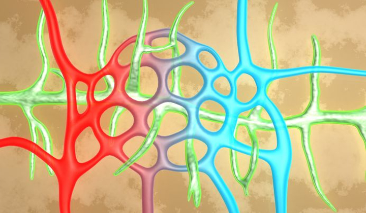 Axillary Reverse Mapping