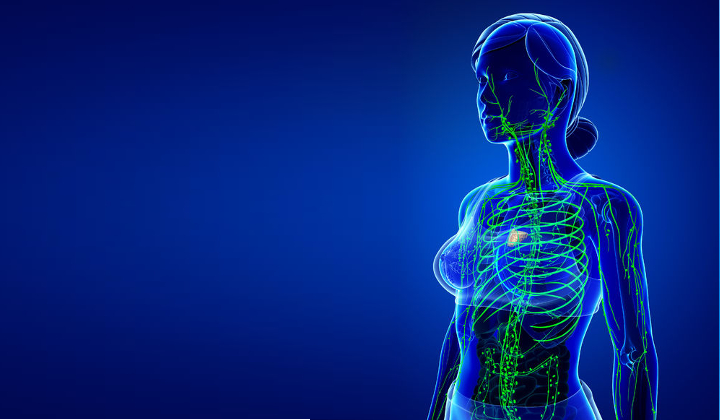 Breast PET Imaging and Neoadjuvant Chemotherapy