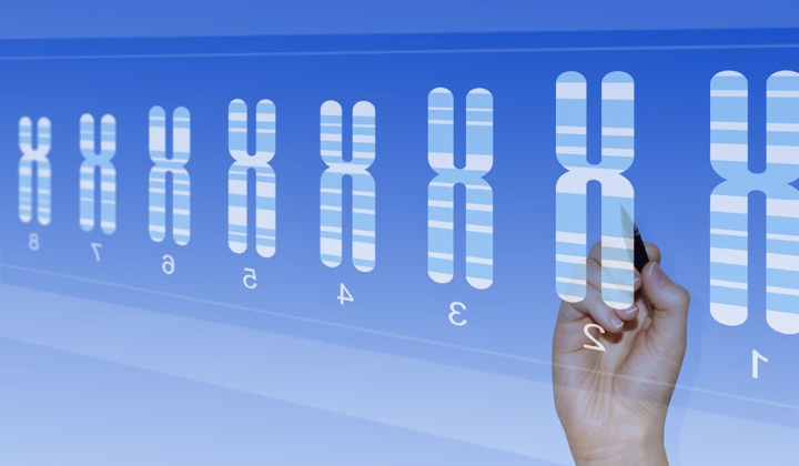 Multi-Gene Panel Testing