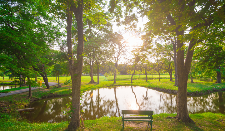Green Spaces and Breast Cancer